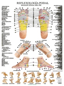 Reflexología podal